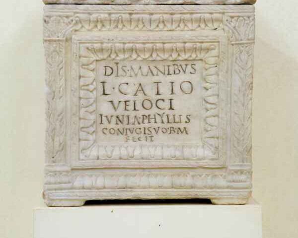 museo villa guinigi